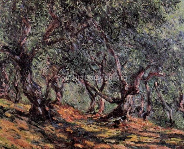 Olive Trees in Bordighera - 克劳德·莫奈